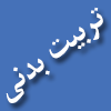 کسب مقام سومی توسط  بانوان دانشگاه حضرت معصومه (س) در مسابقات استانی داژبال  کارکنان دولت